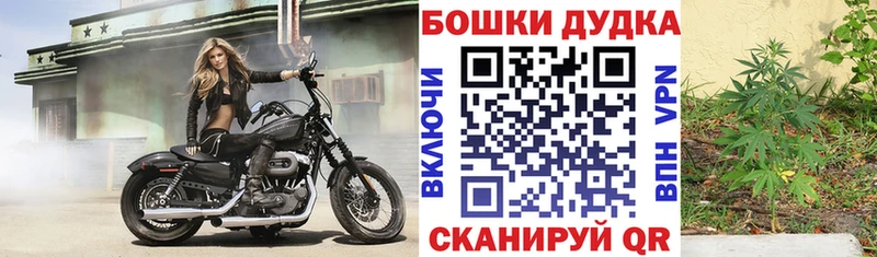 Где купить Углегорск Бошки Шишки Cocaine Alpha PVP Меф Гашиш