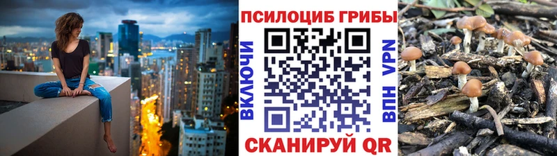 купить наркоту Углегорск Псилоцибиновые грибы мухоморы
